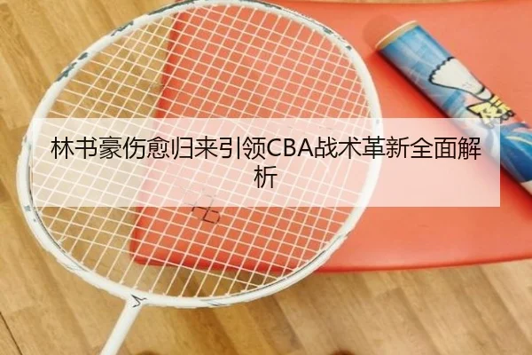林书豪伤愈归来引领CBA战术革新全面解析